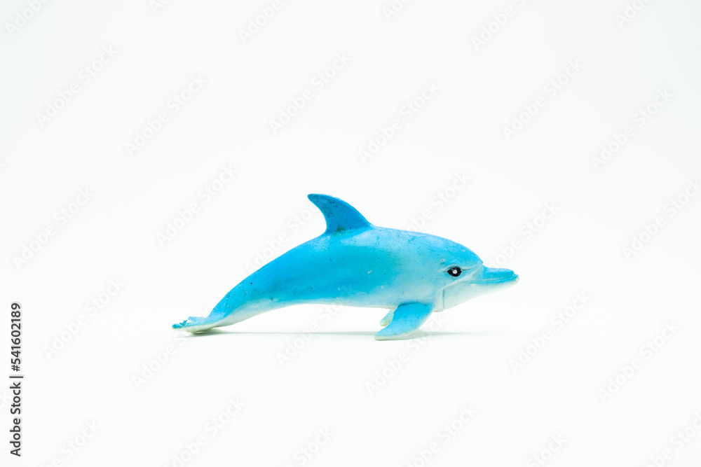 White and blue Dolphin on white background White and blue Dolphin on white background