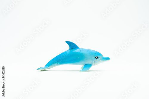 White and blue Dolphin on white background