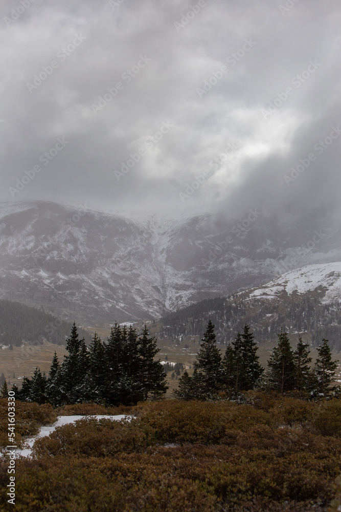 Storm clouds over snow covered mountain peaks with pines trees in foreground