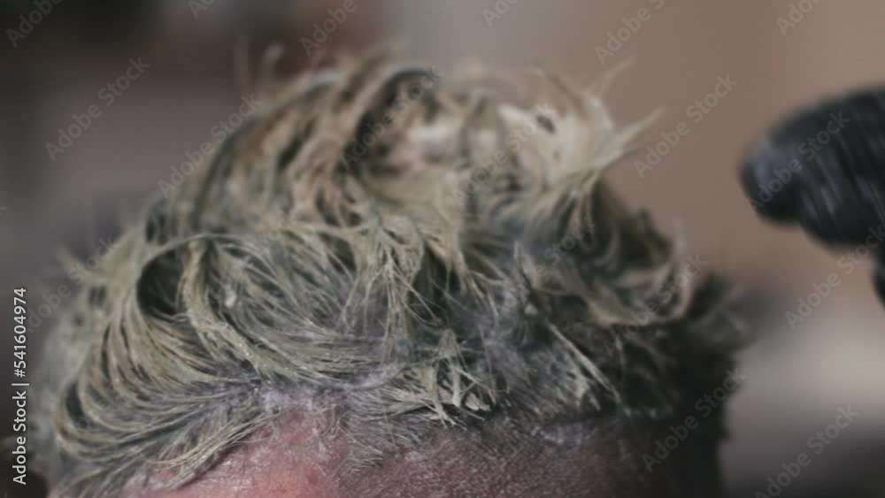 Hairstylist dyeing the hair of a client by massaging it with fingers. Professional treatment in a hair saloon. Hairstylist dyeing the hair of a client by massaging it with fingers. Professional treatment in a hair saloon.
