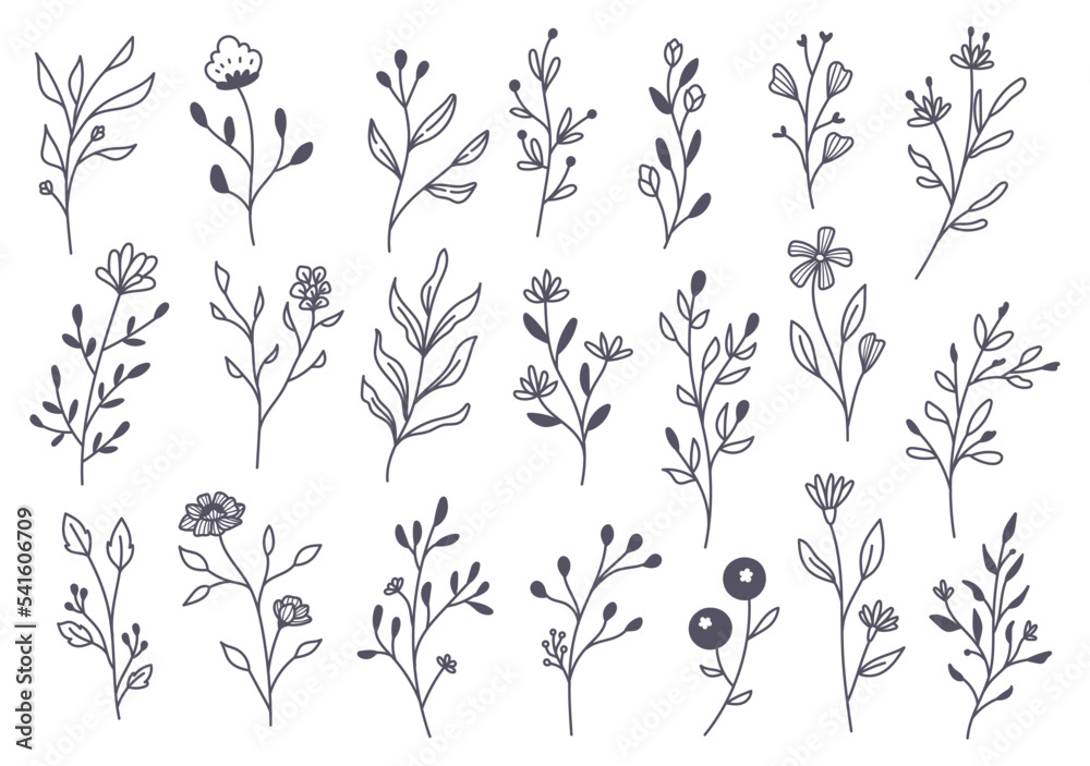 Hand drawn floral branches doodle 