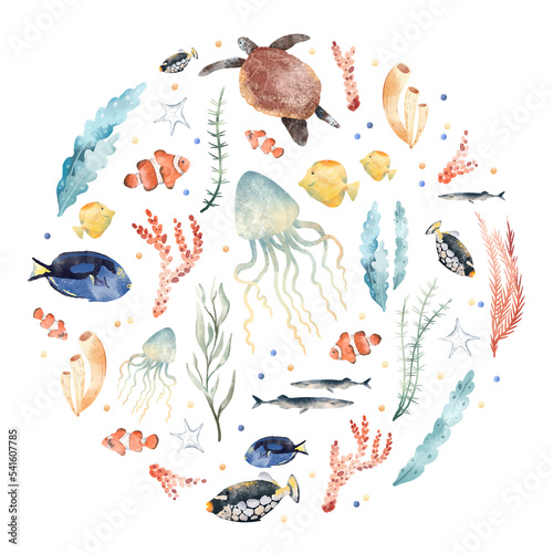 Watercolor hand drawn circle composition, colorful illustration of sea underwater plants, jellyfish, fish, seaweeds, ocean coral reef. Aquarium. Wildlife marine elements isolated on white background. photo