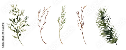 Set watercolor winter leaves element vector design