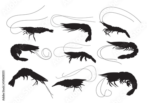 Shrimp set stencil templates, silhouette seafood for packaging design