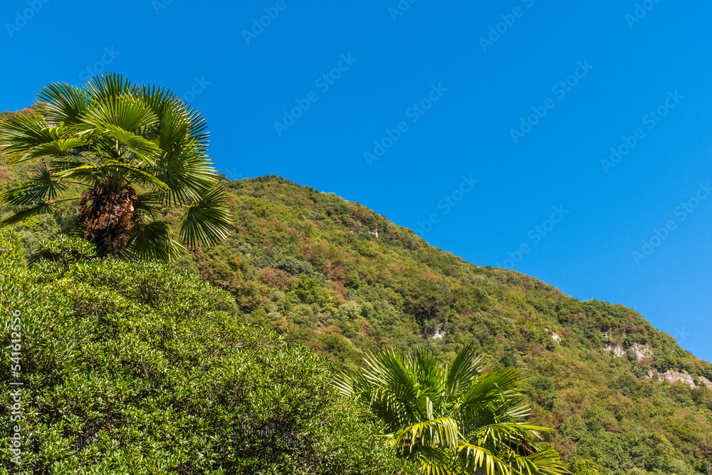 Green hills with blue sky sunny background