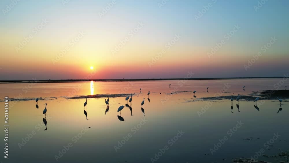 custom made wallpaper toronto digitalMigratory Bird Nature Reserve,