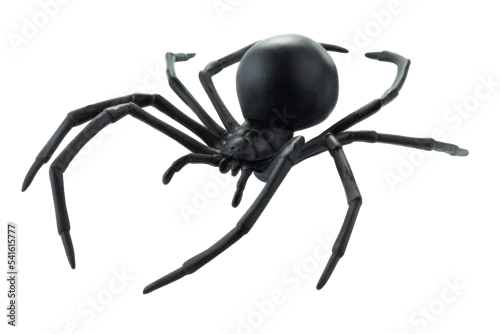 Obraz Fake rubber spider toy isolated over a white background. black spider toy isolated on a transparent background. Comic horror for Halloween.