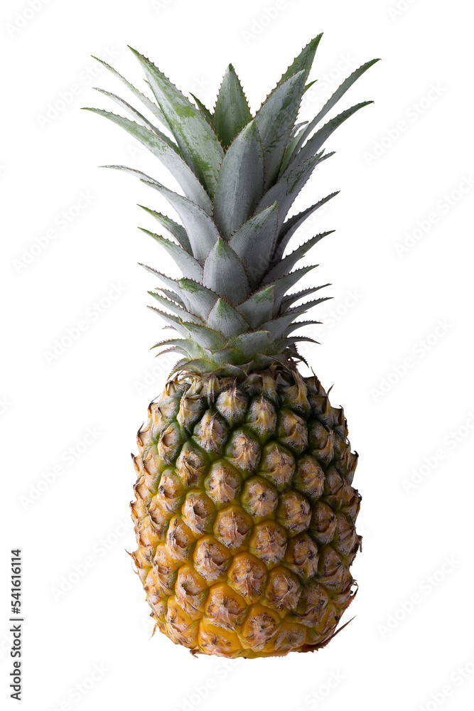 Fototapeta premium Pineapple slices isolated on transparent background