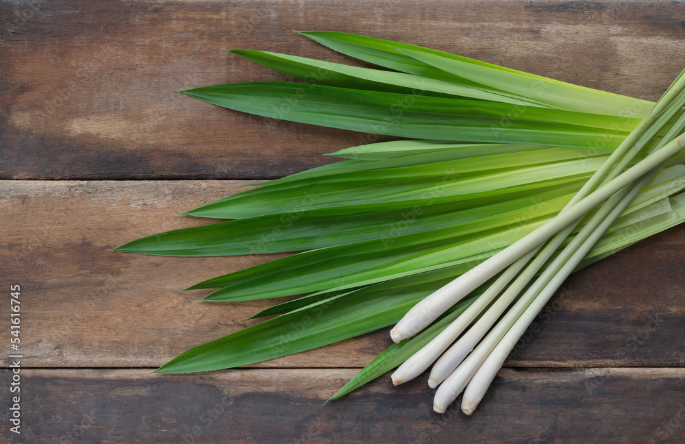 Lemongrass and fresh pandan leaves on wooden floor. Lemongrass and fresh pandan leaves on wooden floor.