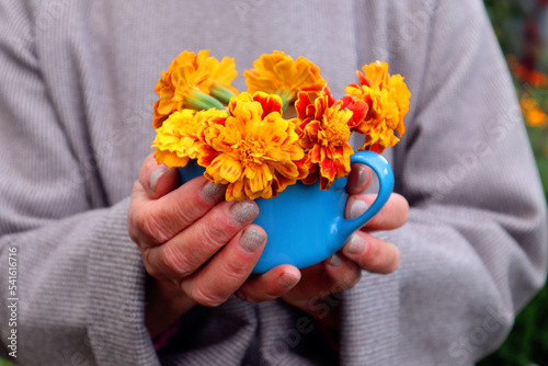  Autumn mood: a bouquet of orange marigolds in a blue mug in the hands of a woman against a gray coat, close-up, space for text