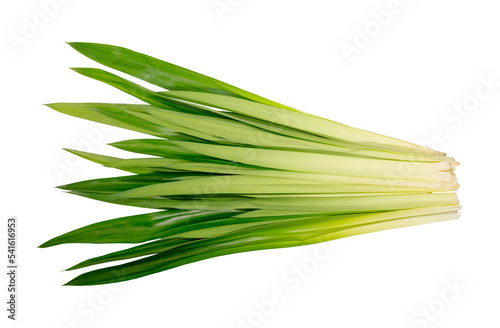 Fresh lemongrass and fresh pandan leaves on isolated on white background, with clipping path