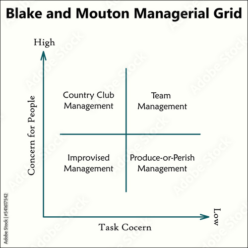 Blake and Mouton Managerial Grid in Matrix infographic template
