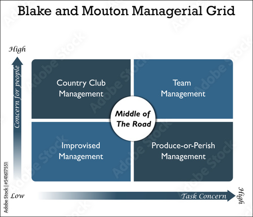 Blake and Mouton Managerial Grid in Matrix infographic template