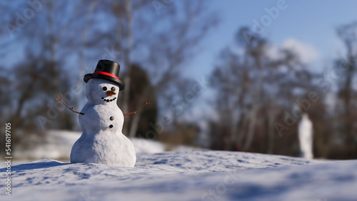 Smile and nose of a snowman. Winter vacation. Frosty weather. Snowman in the park. 3d rendering.