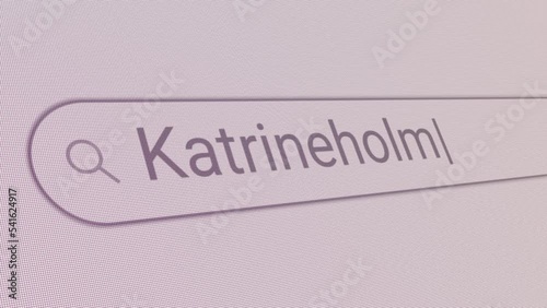 Search Bar Katrineholm 
Close Up Single Line Typing Text Box Layout Web Database Browser Engine Concept photo