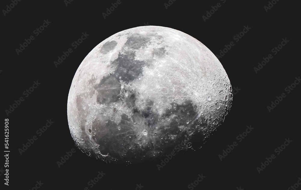 moon moon