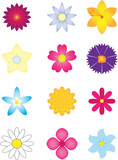 Set of Flowers Vector illustration. Flower Image or clip art.