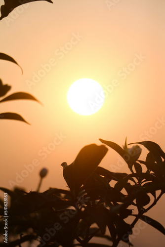 Sunrise view from a garden