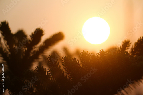 Sunrise view from a garden