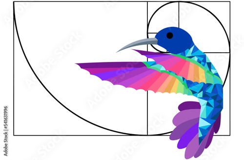 Template Ilustración Vectorial Sección Proporción Áurea Ave Colibrí Low Poly Geométrico Polígono Colores Arcoíris photo