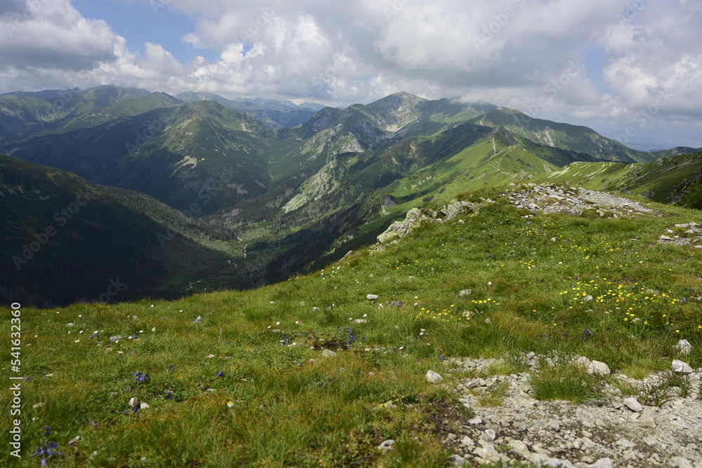 Naklejka premium górska łaka