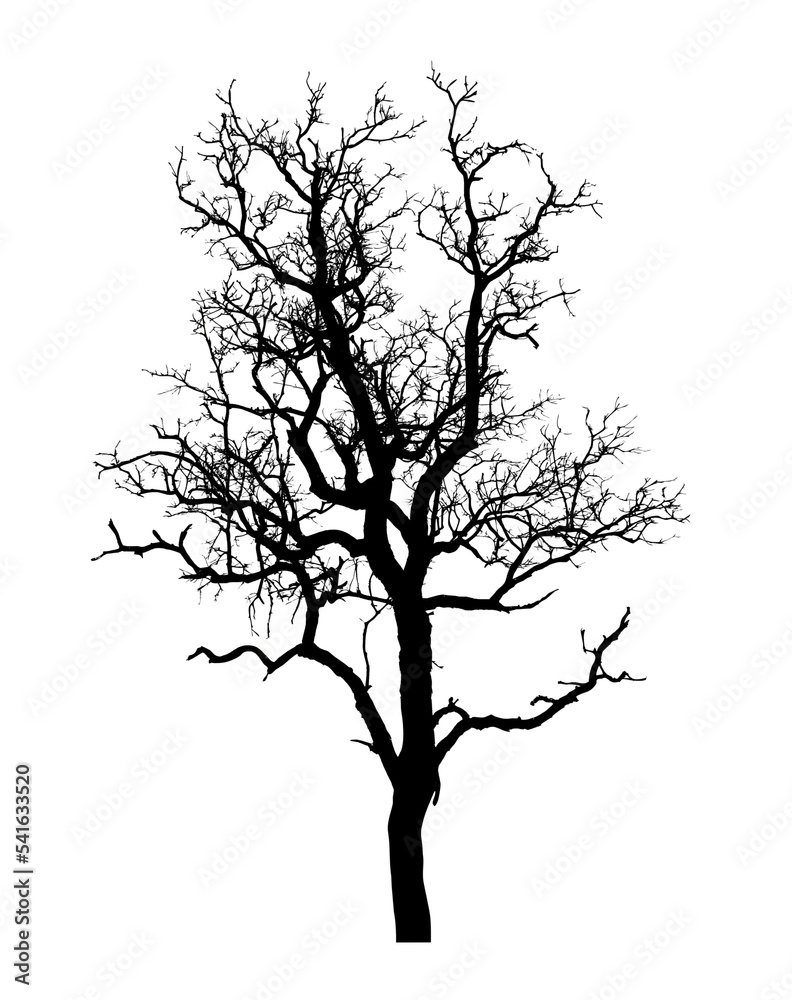 Tree silhouette for brush on white background.. Tree silhouette for brush on white background..