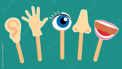 Ear, hand, eye, nose, mouth on sticks