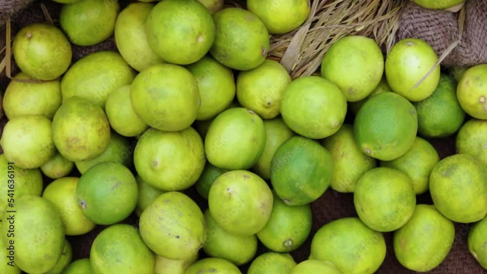 fresh organic lemons from farm close up from different angle fresh organic lemons from farm close up from different angle
