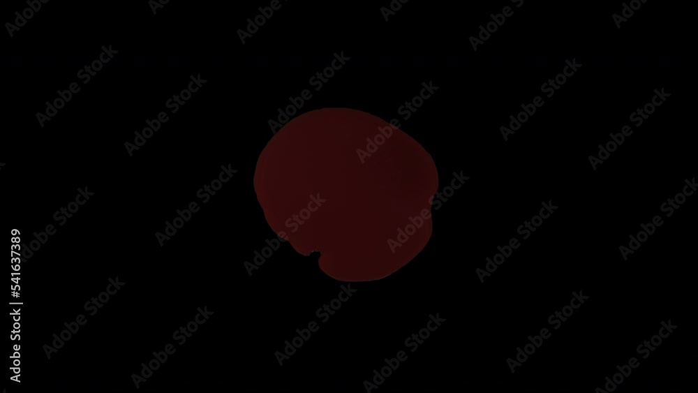 4K Blood Pool  effect on transparent background.background footage motion graphics, or as a background or overlay 4K drag and drop  editing software supporting blending modes.