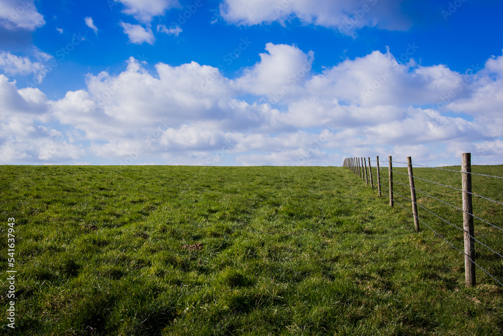 Prairie dans la campagne Prairie dans la campagne