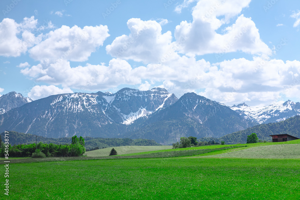 Green meadow and Alps . Snowy mountains and green nature 