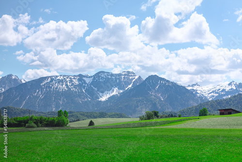 Green meadow and Alps . Snowy mountains and green nature 