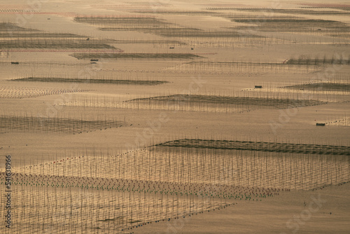 Seawood Farms on the Pacific Ocean Under Sunset Light in Xiapu, Fujian Province, China photo