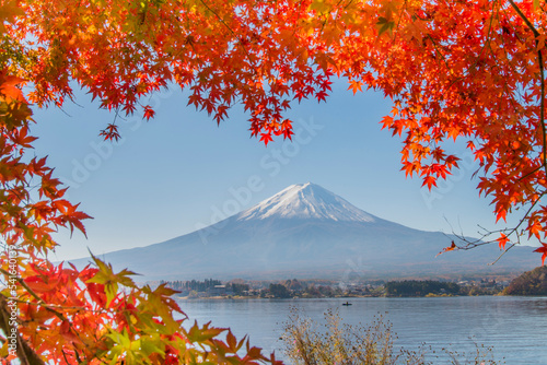 View of Mt Fuji through red autumnal maple leaves, Yamanashi prefecture Honshu, Japan