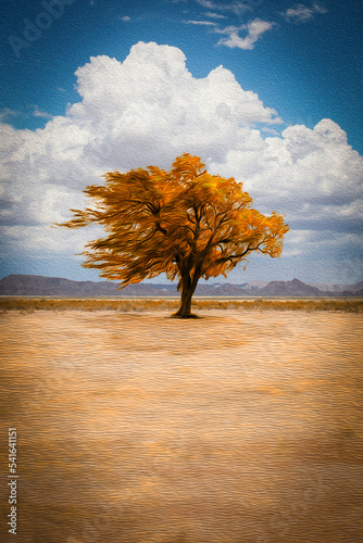 Lone tree in desert landscape in autumn, New Hope, Arizona, USA