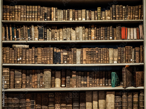 The ancient library of the seminary in Strasbourg.