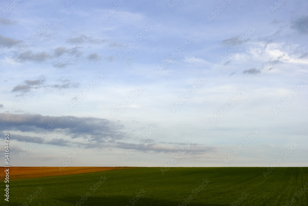 amazing flat green landscape fields with soft clouds