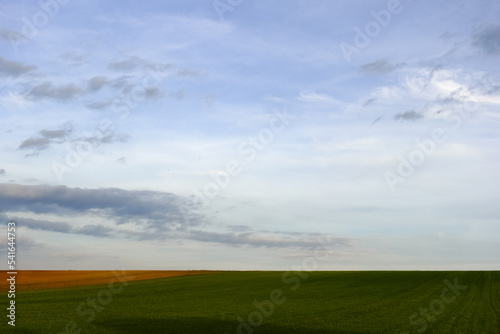 amazing flat green landscape fields with soft clouds