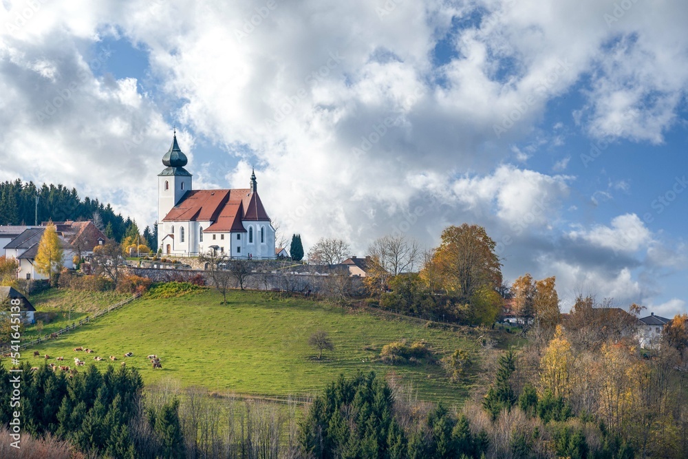 Fototapeta premium Autumm the bright colors in the forest