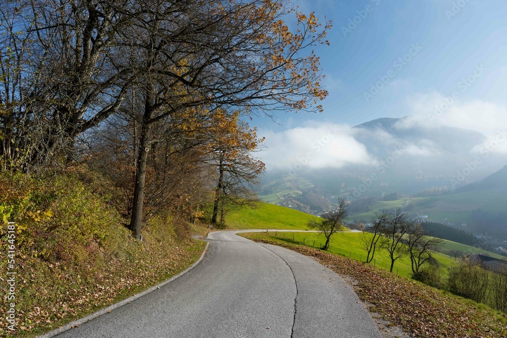 Fototapeta premium Autumm the bright colors in the forest