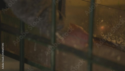 Lighting a candle for loved ones