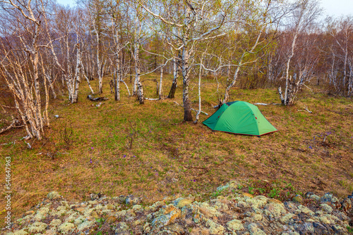 tourist tent stands in the forest on the irendyk ridge in the southern Urals on a spring sunny day