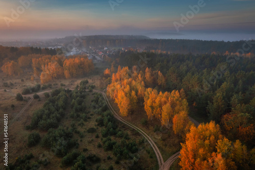 Beautiful landscape with morning fog over the forest in Poland photo