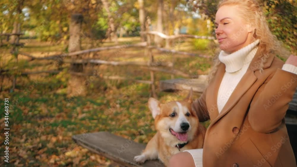 Portrait of beautiful woman and corgi, family, love and relationships, slow motion in an autumn park on sunny day. hair
