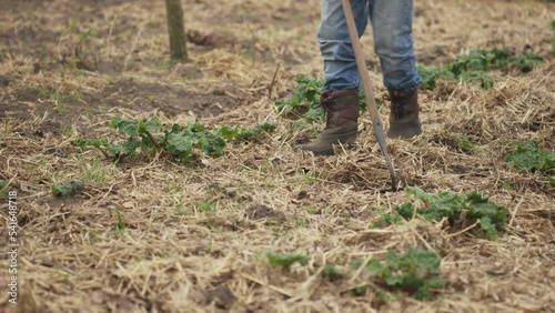 Farmer spade the ground on farm