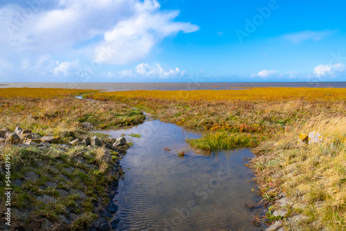 Nordsee bei Flut photo