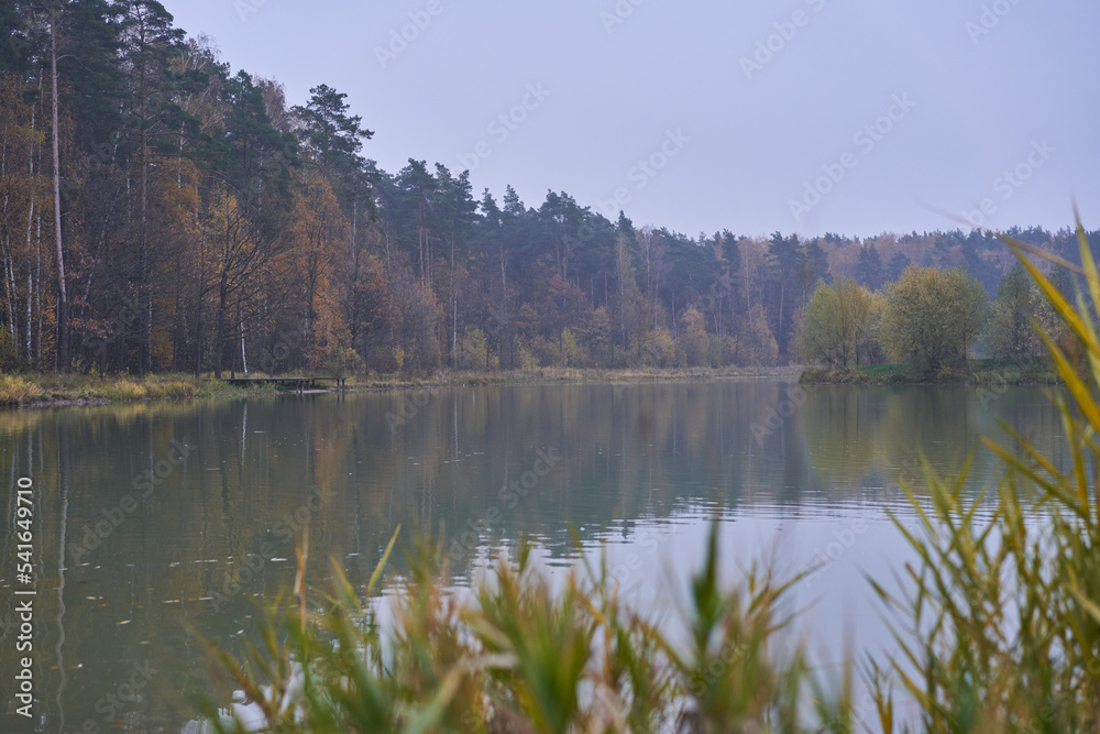 Pond surrounded by yellow trees in afternoon.