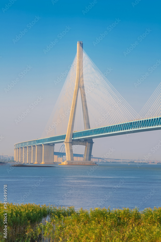 China Cable stayed Yangtze River Bridge and Natural Scenery of Yangtze River Beach