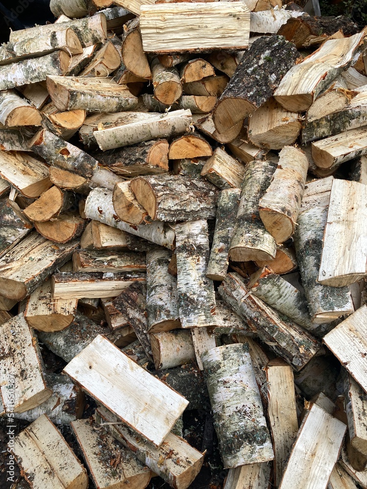 Preparing firewood for upcoming cold winter in Lithuania