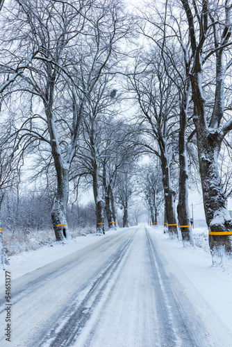 Typical european road between snow covered trees and snowy surroundings, vertical shot